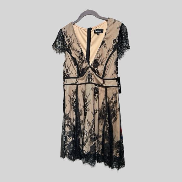 Lulus Lace Overlay Mini Dress Skater Deep V Whimsical Goth Feminine Chic LG - Picture 1 of 12